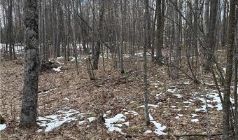 36599 Dove St, Aitkin, MN 56431