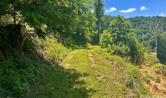 2825 Harrell Hill Rd, Bakersville, NC 28705