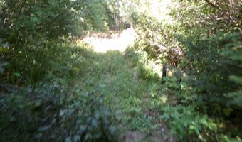 V/L 30AC Lake Winyah Road, Alpena, MI 49707