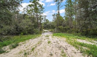 52151 STATE ROAD 19, Altoona, FL 32702