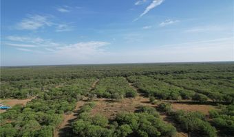 209 CR 1461, Alice, TX 78332