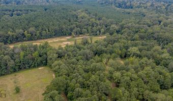 Tbd 371 Highway, Coushatta, LA 71019