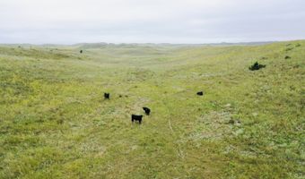 755 90 +/- Acres, Arnold, NE 69120