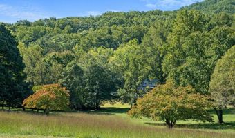 299 SUNRISE Dr, Afton, VA 22920