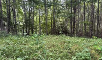 1143 Rominger Rd, Banner Elk, NC 28604