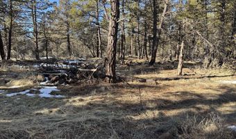 Golden Eagle Drive 30, Bonanza, OR 97623