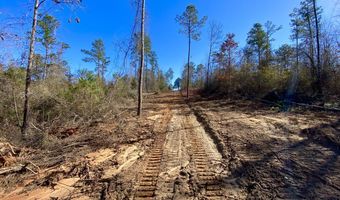 Adams Road - 1 & 2, Bankston, AL 35542