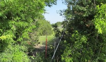 4089 County Road 233, Hico, TX 76457
