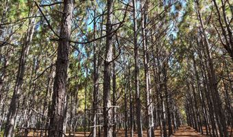 Highway 112, Abbeville, GA 31001