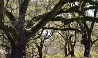 FM 521 TX, Angleton, TX 77515