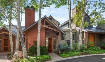 404 Wild Spring Ln, Basalt, CO 81621