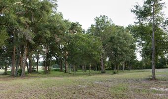 3705 NW 31ST Ave, Bell, FL 32619