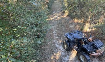 259 Forest Lake Rd, Beaumont, MS 39423