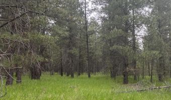 NNA N Sheep Springs Rd, Athol, ID 83801