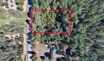 6102 Newton Rd, Albany, GA 31721