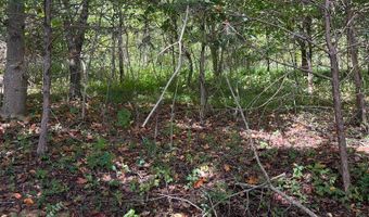 9 AC Lily Dale Rd, Allons, TN 38541