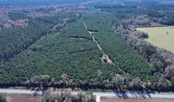 57 40 Acres-TBD Cades Rd, Cades, SC 29518