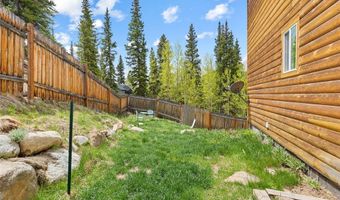 52 Coot Pl, Alma, CO 80420