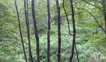 43 Sanctuary Ln, Alderson, WV 24910