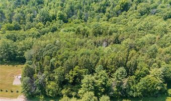 8357 Middle Rd, Angelica, NY 14709