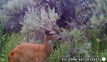 Rio Lane, Belfry, MT 59008