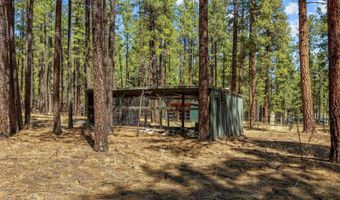 61 Co Rd 2266, Alpine, AZ 85920