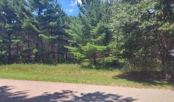 Lot 113 Beaver Lane, Arkdale, WI 54613