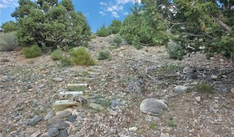 Bugling Bull Road, Cold Creek, NV 89124