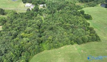 271 Myles St, Albertville, AL 35951