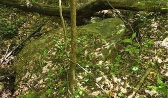 Goose Creek Lane, Ararat, VA 24053