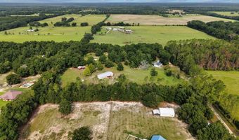 4689 NW 26th St, Bell, FL 32619