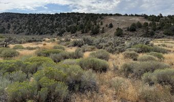 Old Ranch Road unit 1 1, Gardnerville, NV 89410