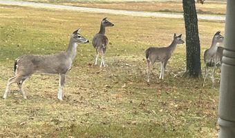 Tbd CR 1600, Alba, TX 75410