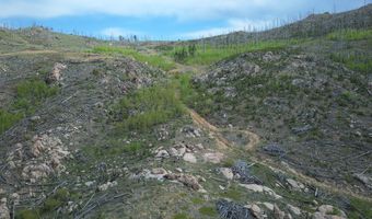 3839 Davis Ranch Rd, Bellvue, CO 80512