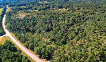 6355 Cobbham Rd, Appling, GA 30802