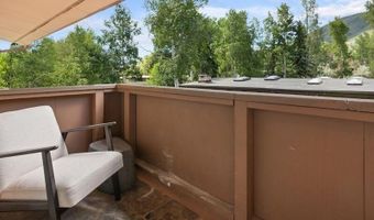 326 Midland Ave 302, Aspen, CO 81611