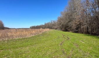 001 CR 532, Avalon, MS 38917
