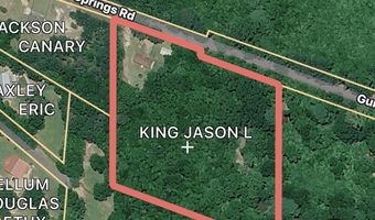 707 Gum Springs Rd, Braxton, MS 39044