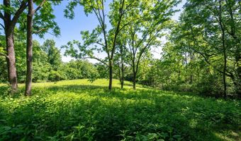 Lot 6 ROCKFISH ORCHARD DR, Afton, VA 22920