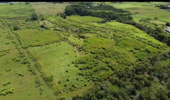 1-3 PRIVATE Rd, Hakalau, HI 96710