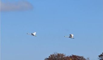 17265 Ward Lake Dr NW, Andover, MN 55304