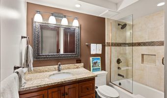 731 S Mill St 2C, Aspen, CO 81611