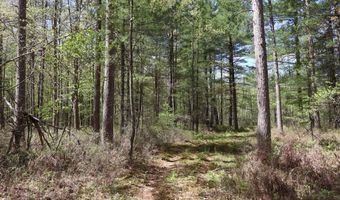 5826 S Morrison Rd, Alger, MI 48610
