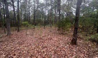 UNIT # 263B KIAMICHI WILDERNESS RD Unit # 63 63, Antlers, OK 74523