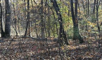 33 Eagle Rdg, Ball Ground, GA 30107