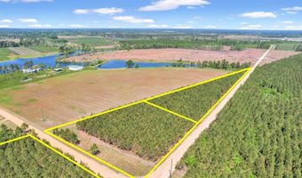Tract 1 Sanderling, Alma, GA 31510