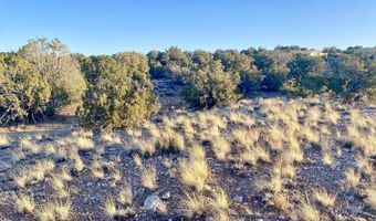 Tbd Co Rd 5062 2.39 Acres, Concho, AZ 85924