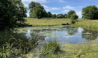 Tract Tbd W Farm Road 64, Ash Grove, MO 65604