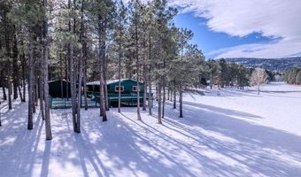 40 Via Del Rey, Angel Fire, NM 87710