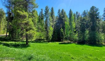 4085 LEIGH Ln, Alta, WY 83414